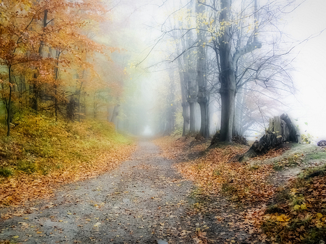 Nebel