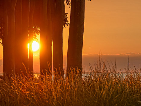 Sonnenuntergang