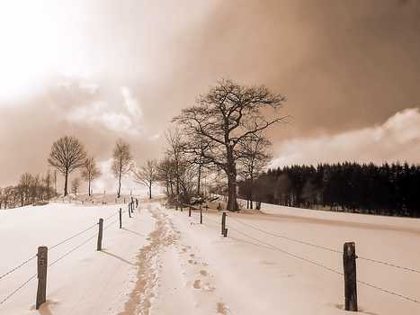 Winter