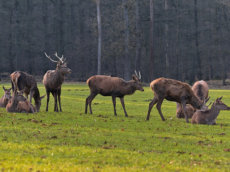 Im Sauerland