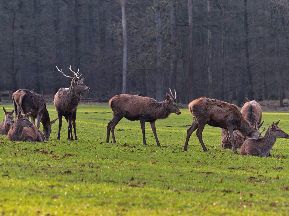 Im Sauerland